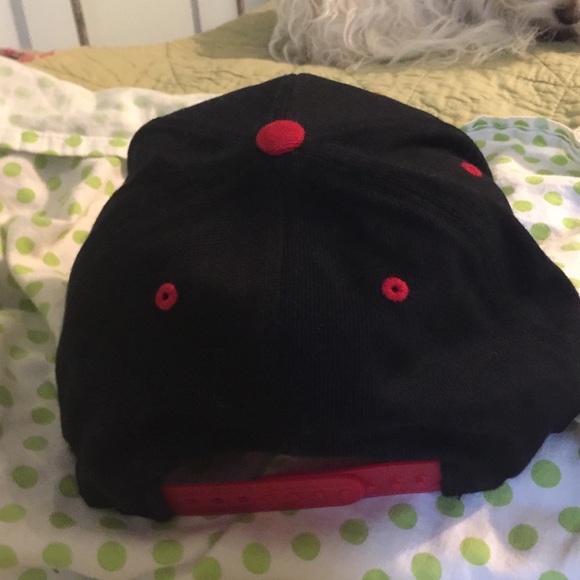 SnapBack hat - Picture 2 of 2