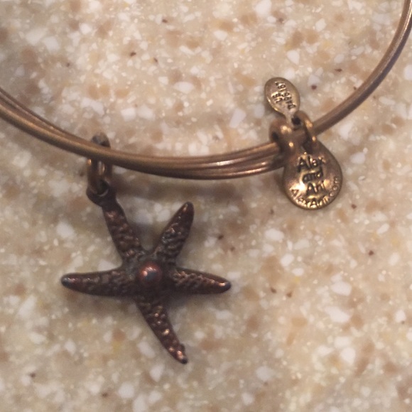 Alex and Ani charm bracelet