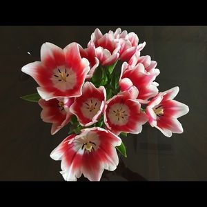 Meet your Posher, Tonya