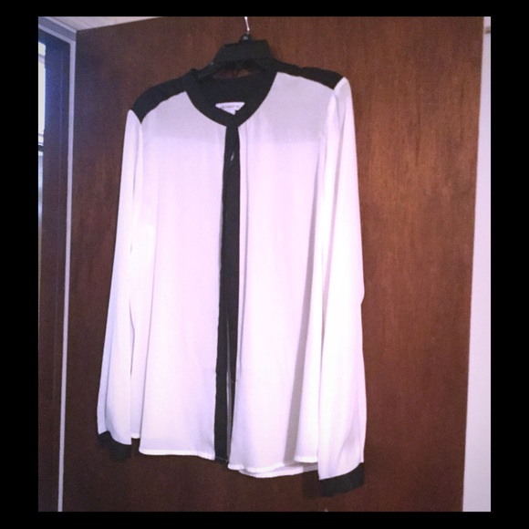 Long Sleeve sheer top