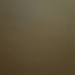 Meet your Posher, Priscilla