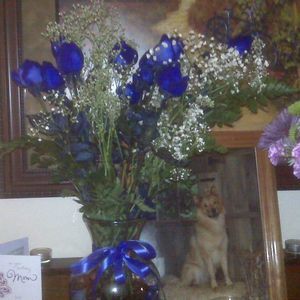 Meet your Posher, Joyce