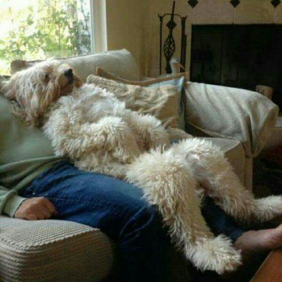 Meet your Posher, Cherie - Picture 1 of 1