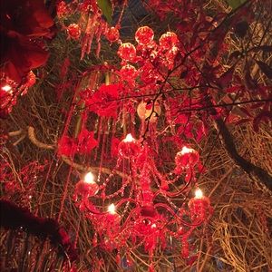 Meet your Posher, Kathleen