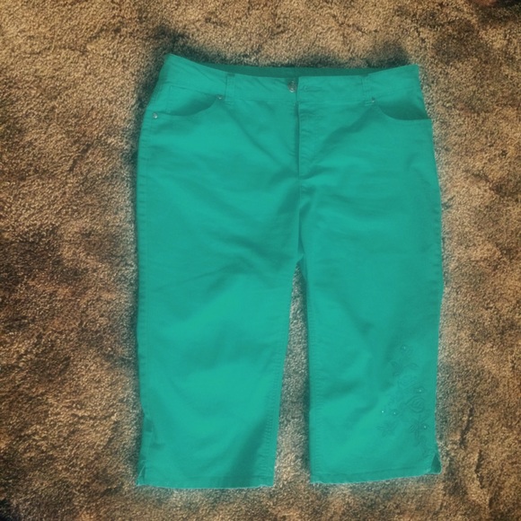 Teal Capris with Embroidery  Final Price!