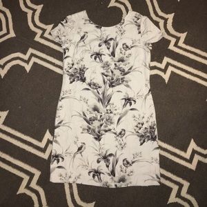 Ann Taylor Loft V-back Floral dress