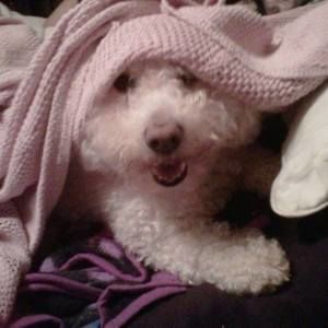 Meet your Posher, Mireya