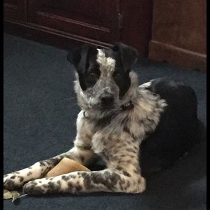 Meet your Posher, Mandy