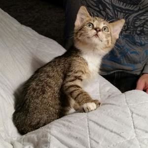 Meet your Posher, Billy