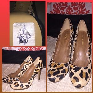 BCBG Women's Leopard Print Pumps Size 7
