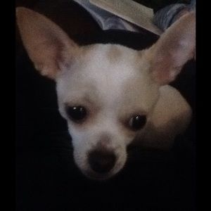 Meet your Posher, Nadine