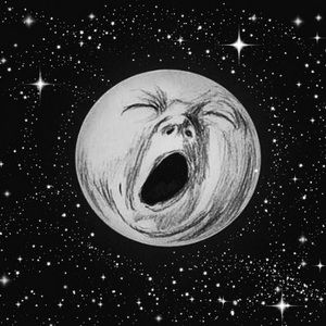 Meet your Posher, Bella