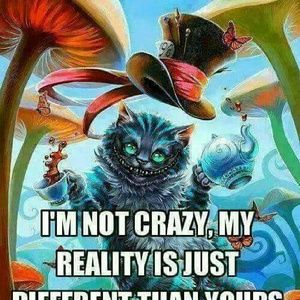 Meet your Posher, Catherine