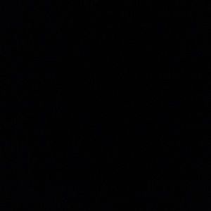 Meet your Posher, Annette