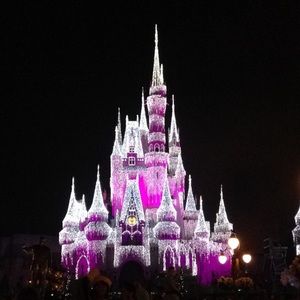 Meet your Posher, Elise