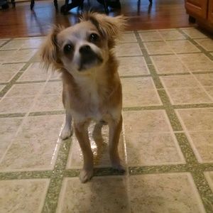 Meet your Posher, Erin