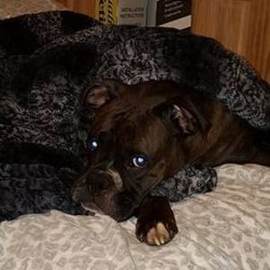 Meet your Posher, Marcy