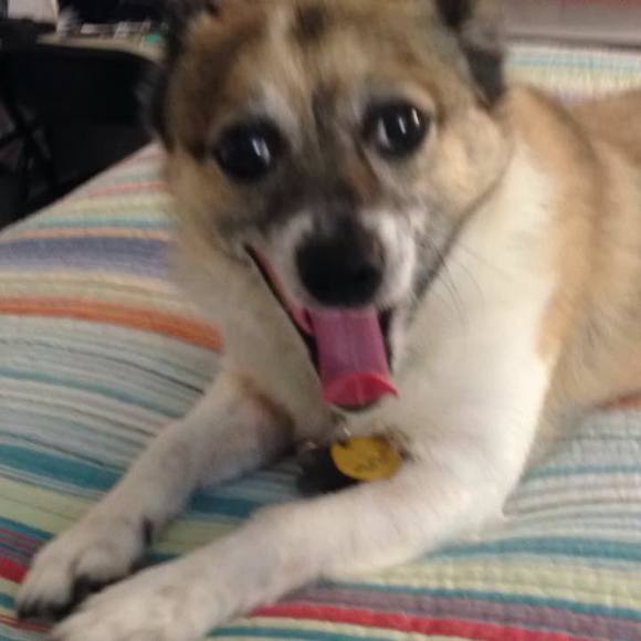 Meet your Posher, Vickie - Picture 1 of 1