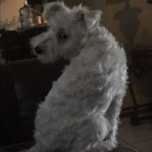 Meet your Posher, Veronica