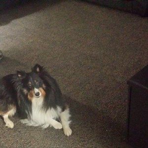 Meet your Posher, Kathy