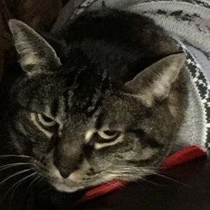 Meet your Posher, April