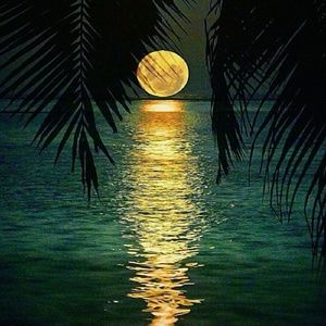 Meet your Posher, Bianca