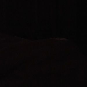 Meet your Posher, Rikki