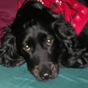 Meet your Posher, Beth