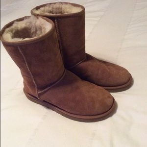 New Chestnut Uggs Size 8