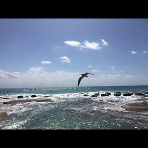 Meet your Posher, Cara