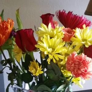 Meet your Posher, Deanna