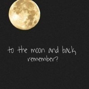 Meet your Posher, Shelley