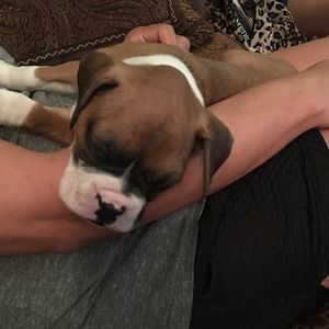 Meet your Posher, Veronica