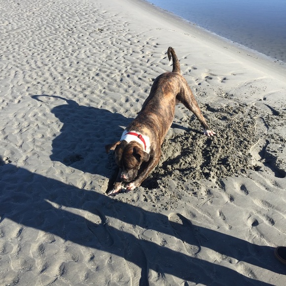 Meet your Posher, Gretchen - Picture 1 of 1