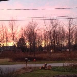 Meet your Posher, Jess