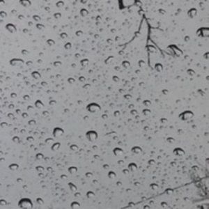 Meet your Posher, Jade