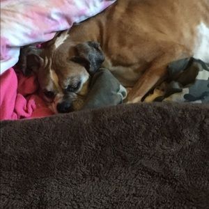 Meet your Posher, April