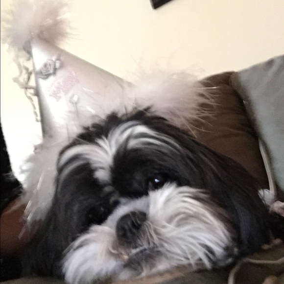 Meet your Posher, Mary - Picture 4 of 4