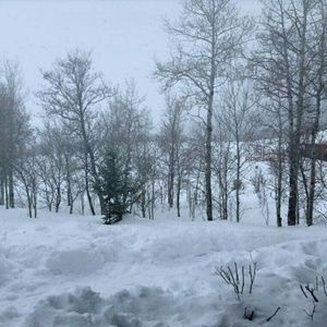 Meet your Posher, Sierra