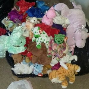 Lot of 99 Beanie babies