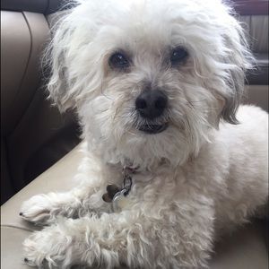 Meet your Posher, Joslyn