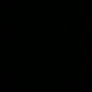 Meet your Posher, Beau