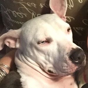 Meet your Posher, Christie