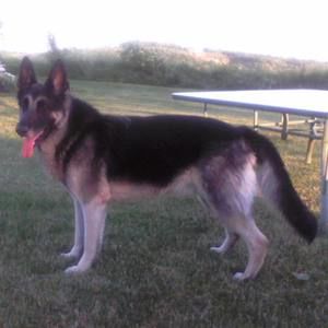 Meet your Posher, Angie