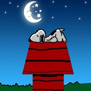 Meet your Posher, Ann