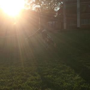 Meet your Posher, Ele