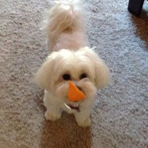 Meet your Posher, Christine