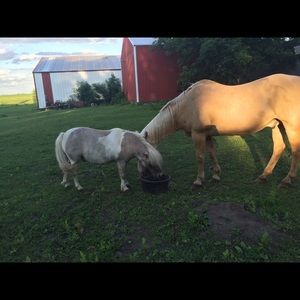 Meet your Posher, Jamie