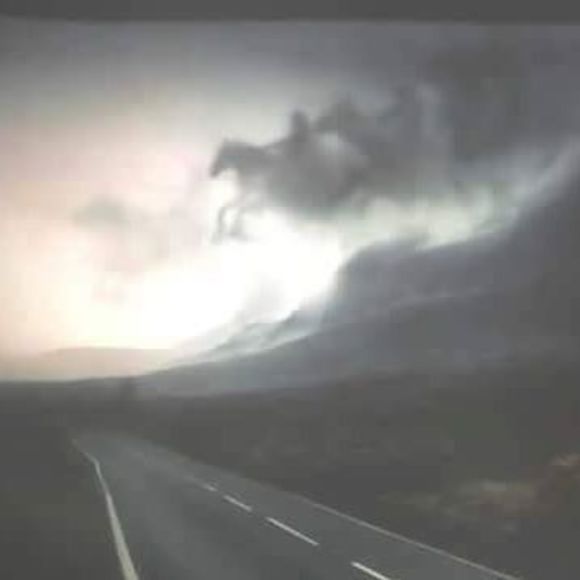 Meet your Posher, Rhonda