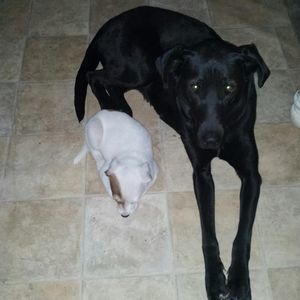 Meet your Posher, Angela